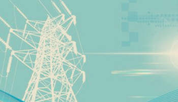 浙江省可以對(duì)已經(jīng)注冊(cè)生效的售電公司，但注冊(cè)信息不符者進(jìn)行舉報(bào)